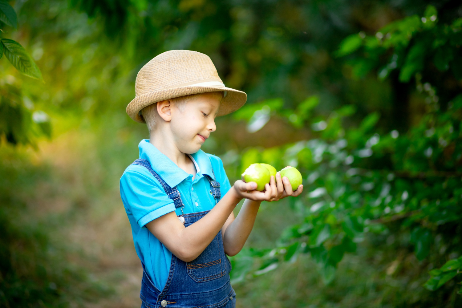 Choosing the Right Orchard for a Toddler