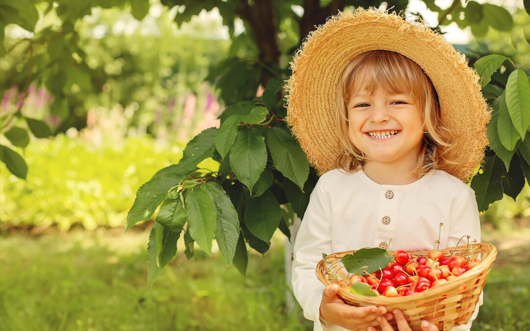 Apple Picking With Toddlers: Safety, Snacks, Toilets, and Realistic Expectations
