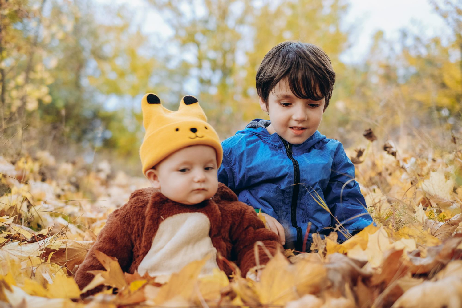 Fall routine toddlers: Earlier Evenings, Child Care, and Less Daylight 2 fall routine toddlers