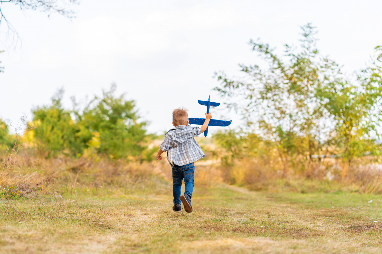 Independence Milestones at 3 Years