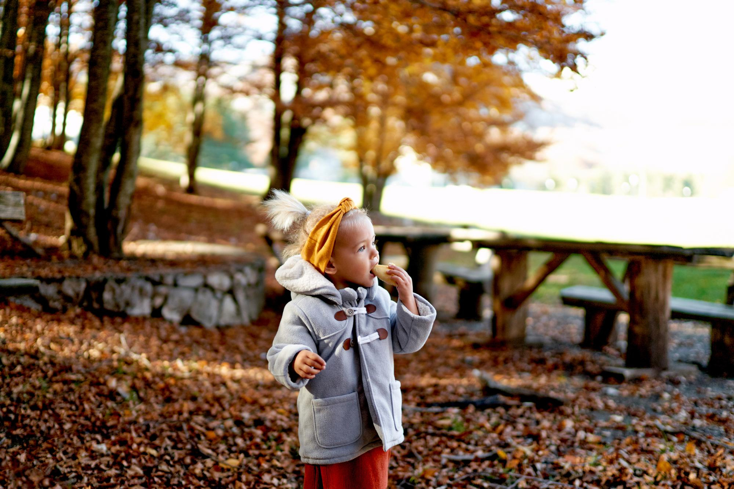 Fall routine toddlers: Earlier Evenings, Child Care, and Less Daylight 5 Closer to the Fall Routine Change: A Final-Week Checklist for Toddlers
