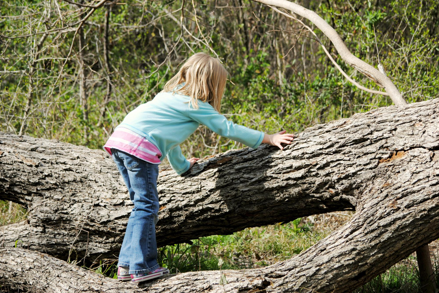 Physical Growth Context Alongside 3 Year Old Milestones