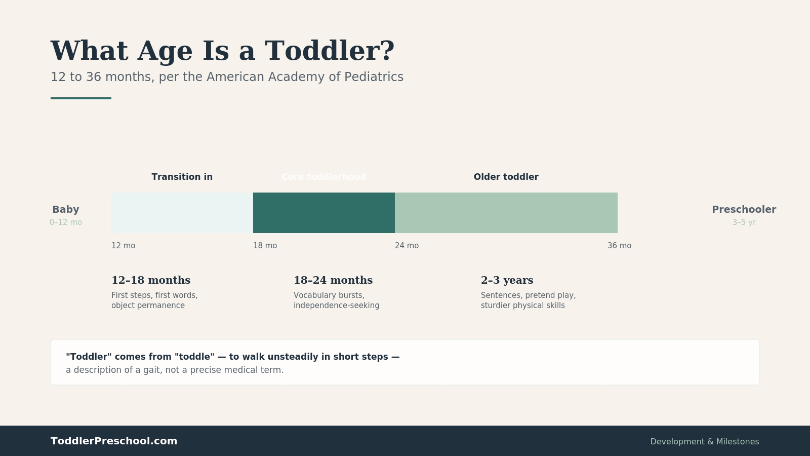 What Age Is a Toddler? A Practical Guide to Ages 1–3 and What Changes 1 What Age Is a Toddler A Practical Guide to Ages 1–3 and What Changes