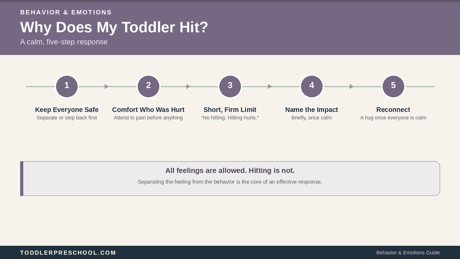 Why Does My Toddler Hit? What to Do in the Moment and Between Incidents 1 Why Does My Toddler Hit? What to Do in the Moment and Between Incidents
